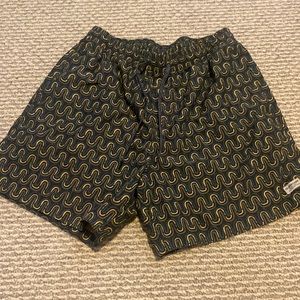 mens squiggly swim trunks quiksilver